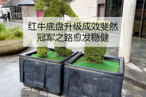 hong-niu-di-pan-sheng-ji-cheng-xiao-fei-ran-guan-jun-zhi-lu-yu-fa-wen-jian-3-221.jpg