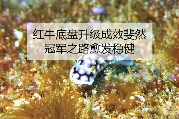 红牛底盘升级成效斐然 冠军之路愈发稳健