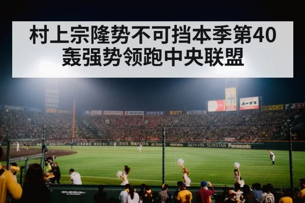 baseball stadium night