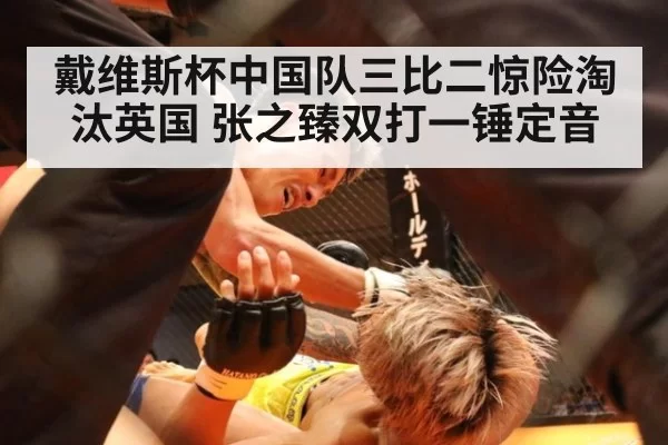 戴维斯杯中国队三比二惊险淘汰英国 张之臻双打一锤定音